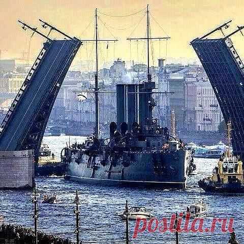 (5) Одноклассники