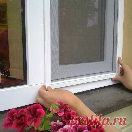 🏡 Москитные сетки от производителя под ключ по вашим размерам
💎 Качественные материалы 😲 Большой опыт работ 💖 Приятные цены
🌍 Санкт-Петербург, улица 2-ой Луч, дом 8, офис 3 📞 +7(812)467-47-55
