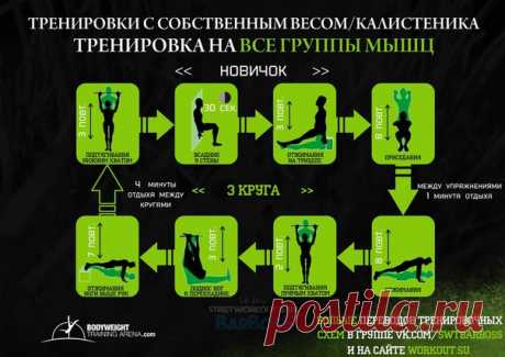 Переводы тренировочных программ от Body Weight Train Arena 🔥 / Оригинальные Идеи