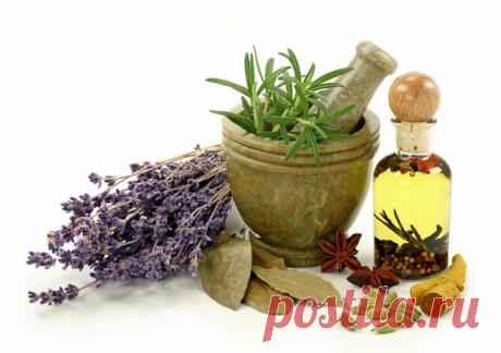 Старение организма является естественным биологическим процессом, и ему подвержены все существа. Но в современном мире, из-за многих факторов этот процесс способен ускоряться, и как следствие, организм изнашивается намного раньше положенного ему природой срока.

Лекарств против старости ещё не изобрели, как и не нашли ещё и эликсира жизни.

Но в народной медицине существует множество средств, которые способны приостановить раннее старение. О них мы сегодня Вам и расскажем.
Показать полностью...