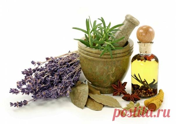 Старение организма является естественным биологическим процессом, и ему подвержены все существа. Но в современном мире, из-за многих факторов этот процесс способен ускоряться, и как следствие, организм изнашивается намного раньше положенного ему природой срока.

Лекарств против старости ещё не изобрели, как и не нашли ещё и эликсира жизни.

Но в народной медицине существует множество средств, которые способны приостановить раннее старение. О них мы сегодня Вам и расскажем.
Показать полностью...