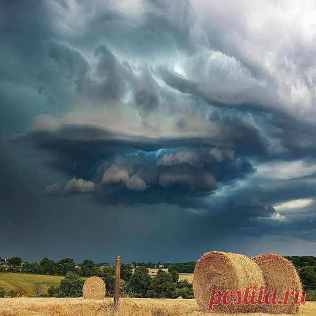 Доброе утро, друзья! Листайте 👉⠀
🌾🌼🌿🌻🌱 Представляем Вам подборку красивых фотографий. Какое фото нравится вам больше 1,2,3...10?
⠀
⭕ Подпишись ➡️ @natureofrussia.ru ⠀
⠀
Благодарим авторов. Фотографии в карусели по порядку : 
1) Плёс. Ивановская область. Автор @jonaspiontek 
2) До чего же хороши Эти леса крепыши! Автор @vologjanka_olga 
3) Вот и папа домой возвращается. Автор @valtterimulkahainen
4) Где-то в Костромской области. Автор @gregburn37
5) Кувшинки.  Автор @...