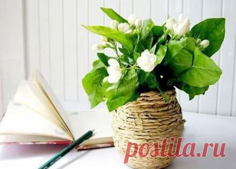 ваза из бумаги и банки