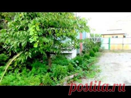 ПИРАМИДЫ ВО ДВОРЕ НИКОЛАЯ ДОЛГОРУКОГО (съемку ведет Андрей Лехов)