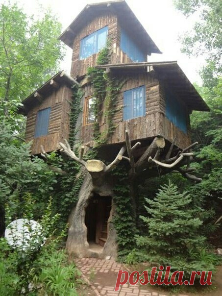 Мечта детства