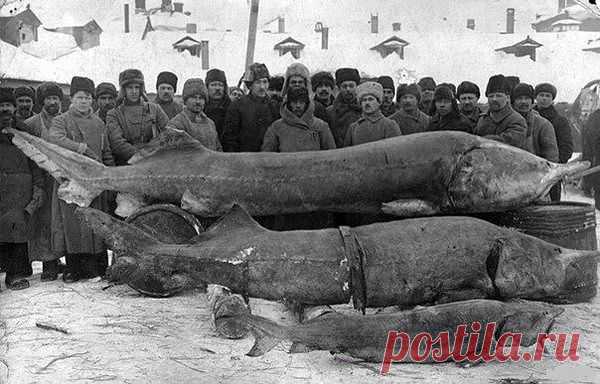 (48) Одноклассники