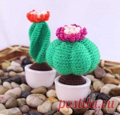 Бесплатный мастер-класс по вязанию Цветущие кактусы крючком. Автор описания неизвестен 🧶Схемы вязания игрушек IRINELY.ART🧵