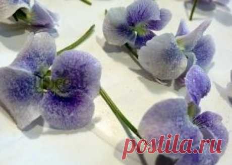 Как сделать сахарные цветы