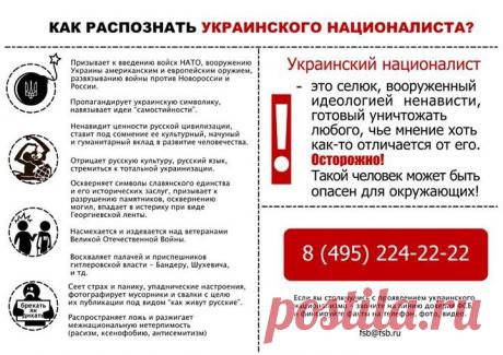 (2) Павел Губарев - Загруженное с телефона