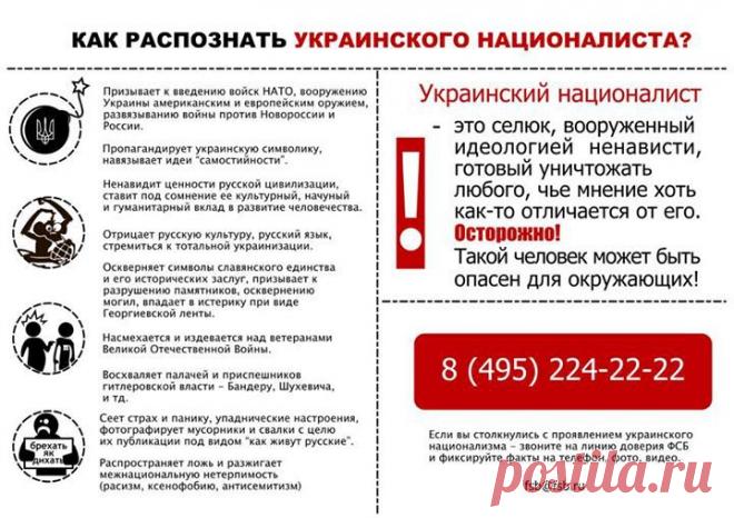 (2) Павел Губарев - Загруженное с телефона