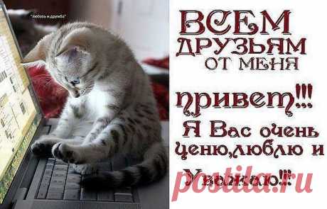 Интересные новости