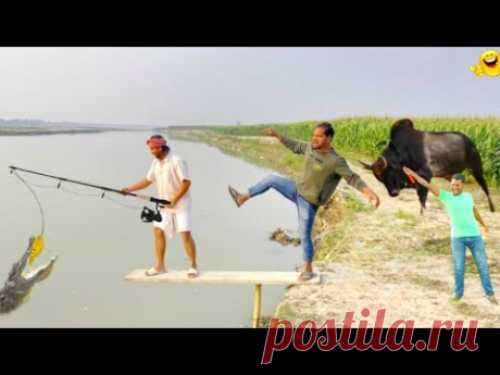 Must Watch New Special Comedy Video 2024 😎Totally Amazing Comedy Episode 120 by Tahalka funny