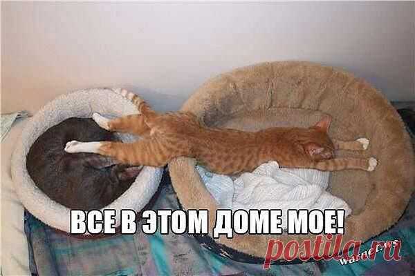 Интересные новости