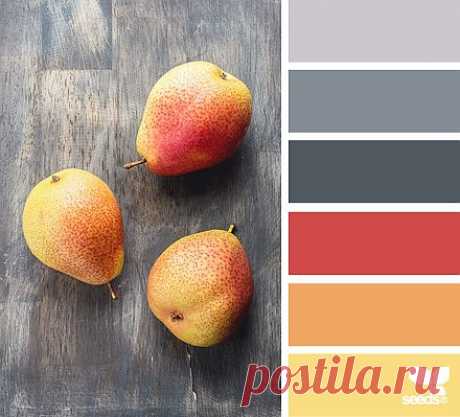 Design Seeds® | find your palette