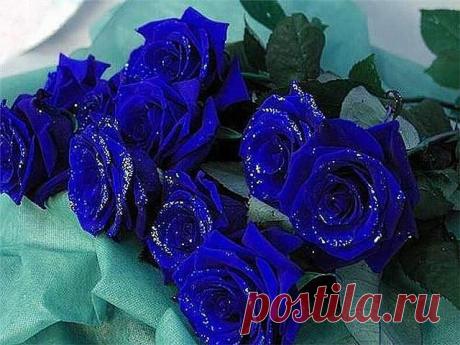 Красивые Цветы  Для Тебя