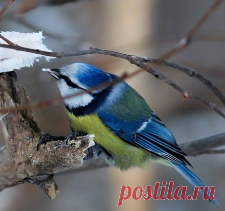 Природа.