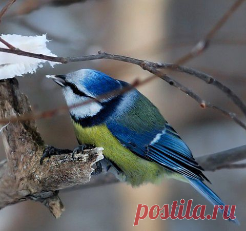 Природа.