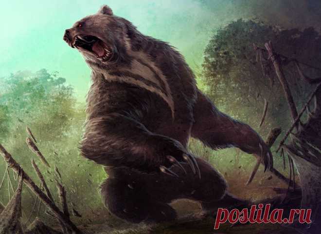 Ulvenwald Bear by JasonEngle on deviantART