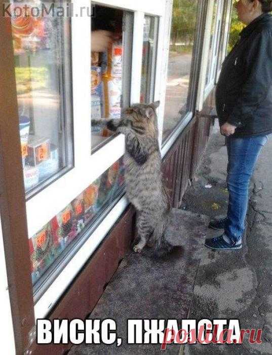 Первый покупатель