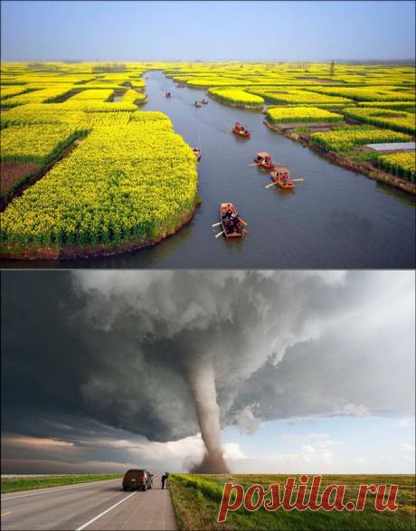 (+1) тема - Фотоподборка на любой вкус (2 часть) | Отдыхаем с юмором