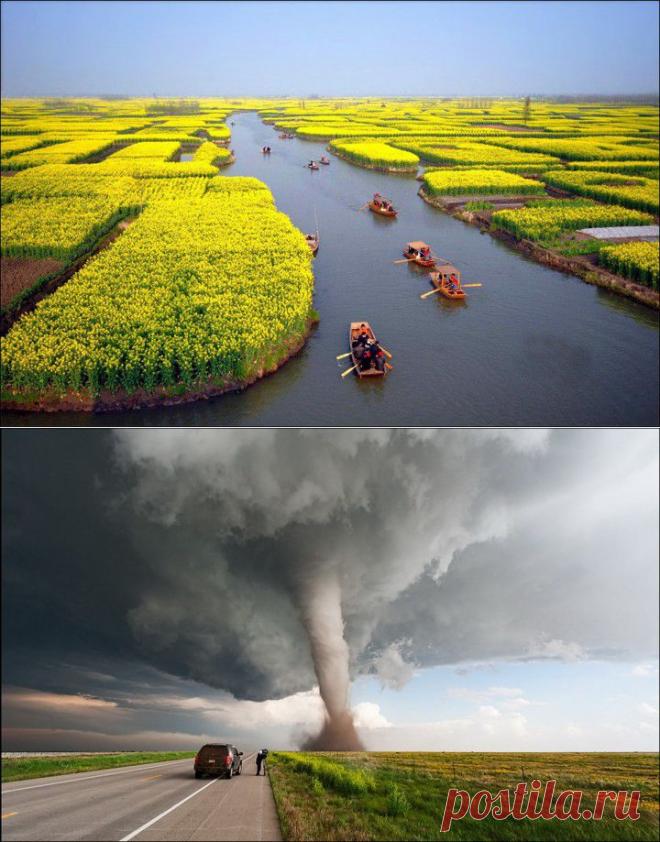 (+1) тема - Фотоподборка на любой вкус (2 часть) | Отдыхаем с юмором