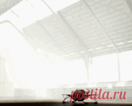 NEW YORK & (((mUsiccisUm)))