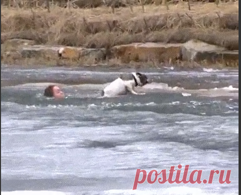 1 непрочитанный чат