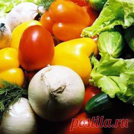 Секреты выращивания крупных овощей ,  полезные советы