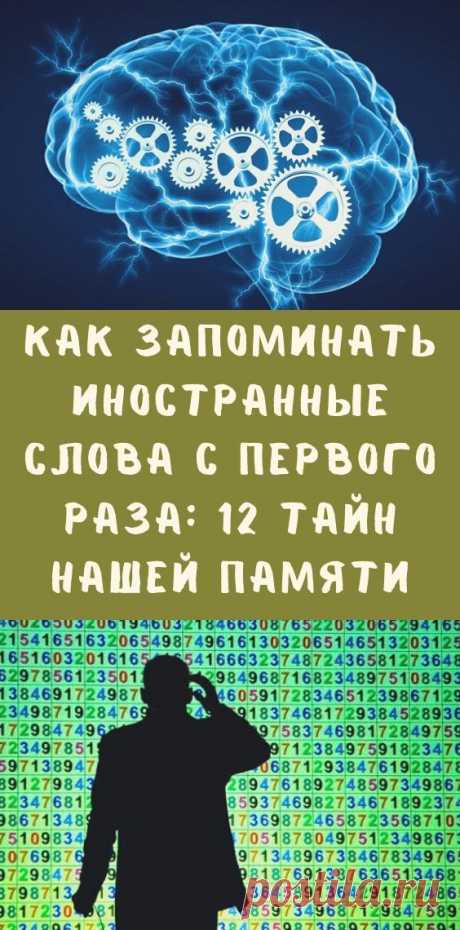 Как запоминать иностранные слова с первого раза: 12 тайн нашей памяти
