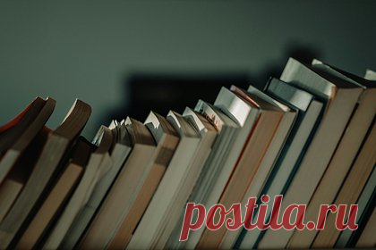 На Украине предложили отказаться от защиты русского языка