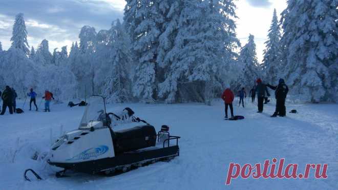 Федерация лыжных гонок Челябинской области