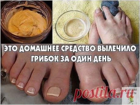 ГРИБОК ЗА ОДИН ДЕНЬ(24) Одноклассники