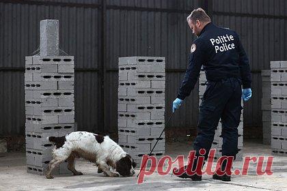 Евродипломатов обыскали