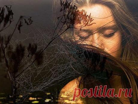 Женский гороскоп на 2016 год