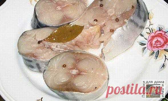 #Кулинария

 СКУМБРИЯ ПРЯНОГО ПОСОЛА

Скумбрия соленая по этому рецепту готова к употреблению уже на следующий день, а все ингредиенты у каждой хозяйки всегда в наличии.
Берем 2-3 рыбины. Тщательно чистим: убираем внутренности, отрезаем голову, хвост, плавники. Затем нарезаем на кусочки 1,5-2 см.
Пока занимались чисткой, у нас закипела вода.

Для скумбрии пряного посола конечно необходим рассол.

Ингредиенты:

0,5 л воды
1 столовая ложка соли
1 столовая ложка сахара
0,5 ст...