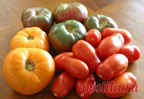 Помидоры - вкусно и полезно! | Наш дом