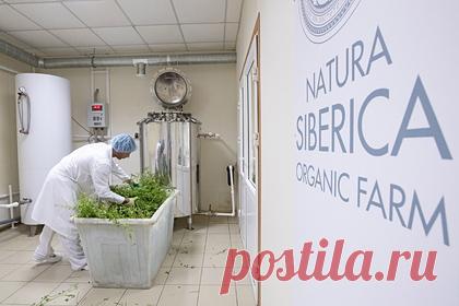 По работе Natura Siberica ударили массовые увольнения. В последние дни из центрального офиса Natura Siberica уволилось 57 сотрудников, еще 101 человек ушел в отпуск, пишет The Bell. Среди покинувших компанию работников — ключевые менеджеры, включая директора по технологиям. Ушли также весь отдел технологов, директор по закупкам, руководитель аналитического отдела.