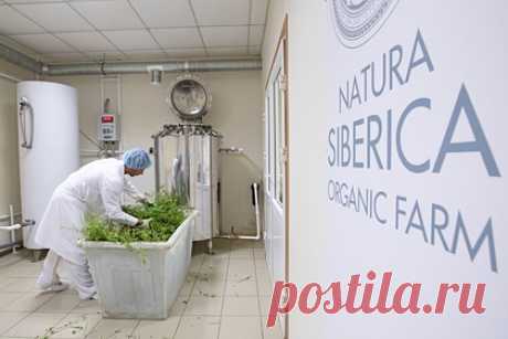 По работе Natura Siberica ударили массовые увольнения. В последние дни из центрального офиса Natura Siberica уволилось 57 сотрудников, еще 101 человек ушел в отпуск, пишет The Bell. Среди покинувших компанию работников — ключевые менеджеры, включая директора по технологиям. Ушли также весь отдел технологов, директор по закупкам, руководитель аналитического отдела.