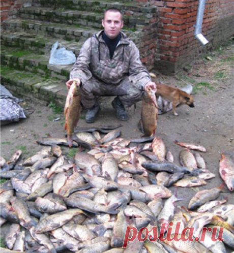 Рыбнадзор. Новости Рыбного Хозяйства РФ