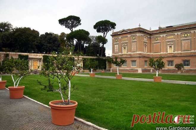 Сады Ватикана В мире существует государство, половину территории которого занимают сады. Если вы теряетесь в догадках, то ответ весьма прост – это Ватикан. Будучи самым маленьким государством, он имеет территорию 44 га, половина из которых занимают сады и даже лес на два гектара.Сады Ватикана были...