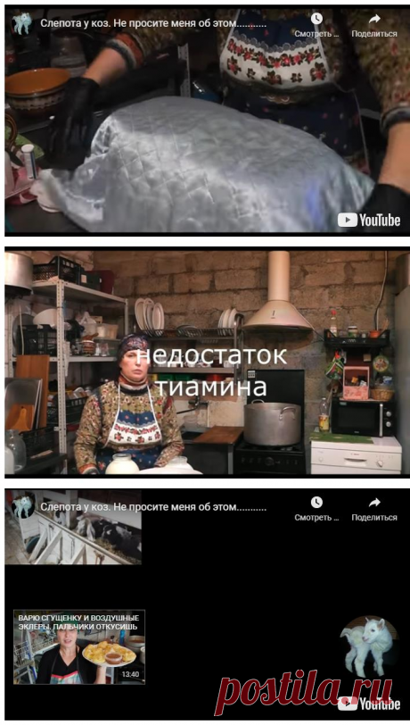 Слепота у коз.  не просите меня об этом&amp;#8230;&amp;#8230;&amp;#8230;.. &amp;#8212; Усадьба Белая Коза Просматривайте этот и другие пины на доске Мой Мир пользователя Ольга.
Теги
Слепота у коз.. не просите меня о этом...
Просматривайте этот и другие пины на доске My World пользователя Olga P.