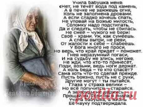 вера дьяченко - Поиск в Google