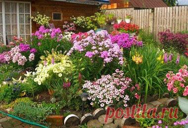 Как сделать красивую клумбу на даче своими руками - Master Room Как сделать красивую клумбу на даче своими руками. Подробная фото инструкция. Рекомендации.