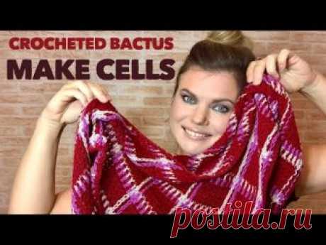 Вяжем КЛАССНЫЙ бактус в клетку! 😱Крючком! Crocheted Bactus by Nataly Masters - Видео