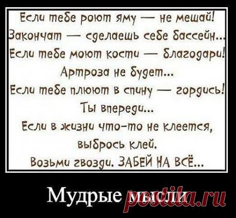 Фразы,Высказывания,Стихи,Цитаты,Видео...
Елена Станова