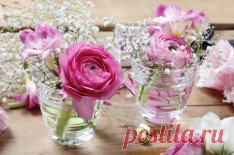 Цветы для сервировки