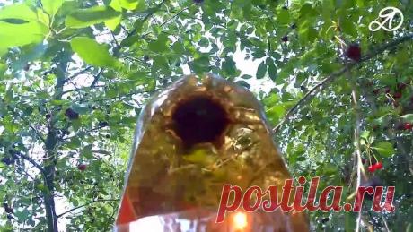 Как собрать вишню. Приспособление для сбора вишни своими руками. Применение ПЭТ