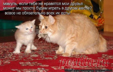 Вовсе не обязательно их есть