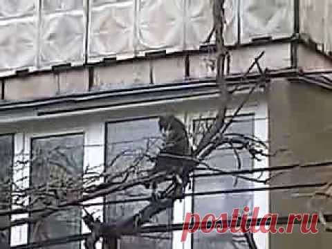Удивительная кошка-мама.