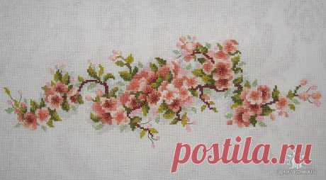 Чаривна мыть, цвет яблони